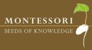 logo montessori seeds of knowledge