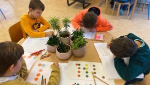 Activity 6 -12 year's old montessori