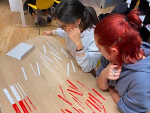 Montessori pedagogy for 12-15 year's old