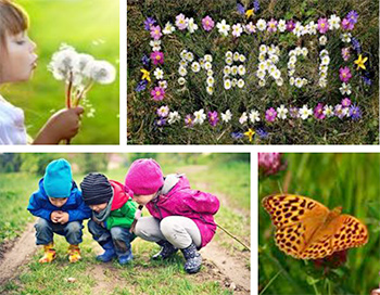 camp été 2022 - Nature et découvertes